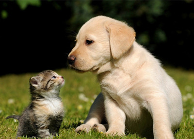 http=//www.hexiehealth.com/img/ad/original/2014/05/15/lll/67n/3nl/0meJm6u7e1400116875125.jpg